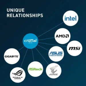 RAM-CRUCIAL-8G-5600Mhz-Amiran-Behine-(5)