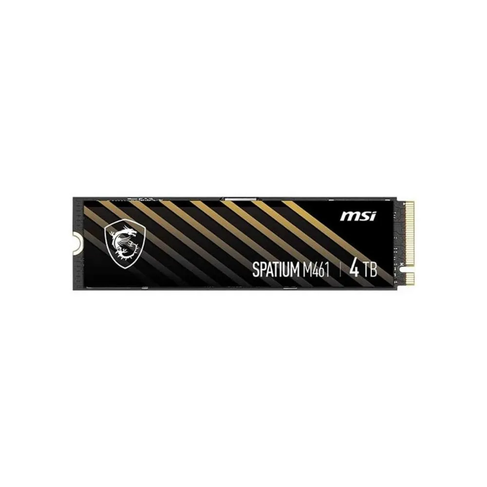حافظه SSD ام اس آی M461 4TB